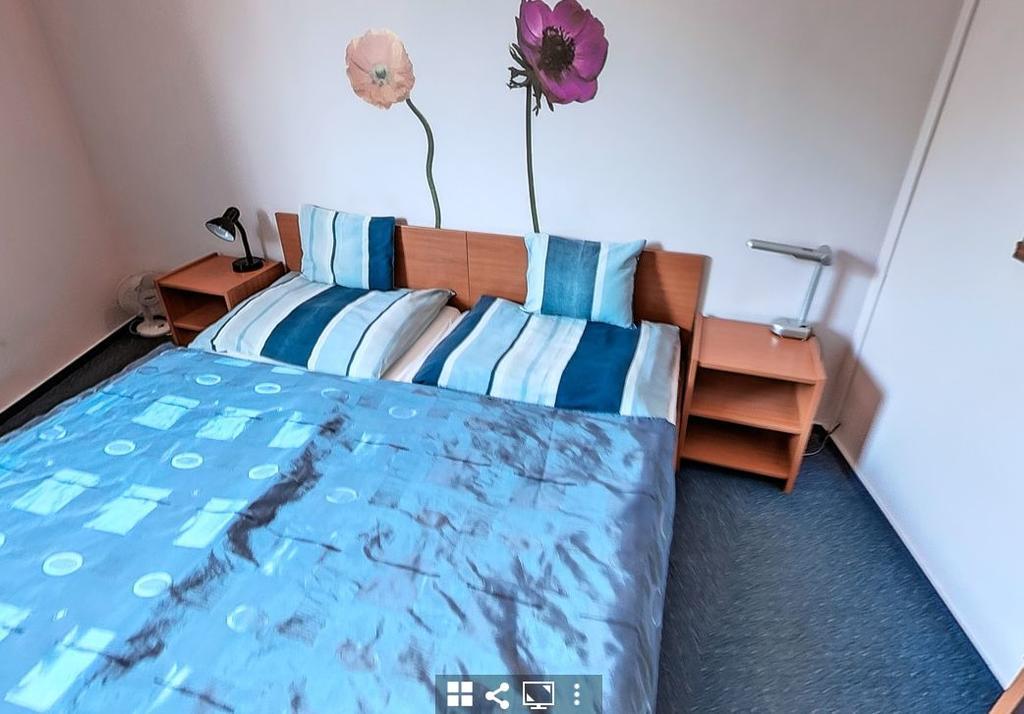 Bed and Breakfast Timarhaz Panzio Szegedin Exterior foto